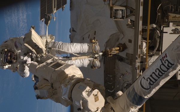 STS-119 EVA 3 GAT SSRMS LEE B Snare Lubrication OPS