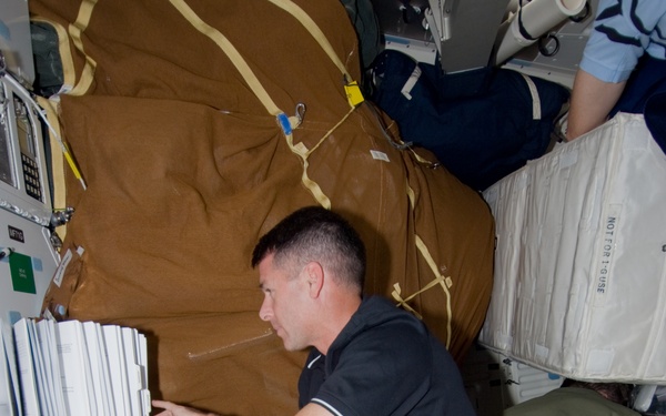 Kimbrough works with NLP-Vaccine-2 on MDDK