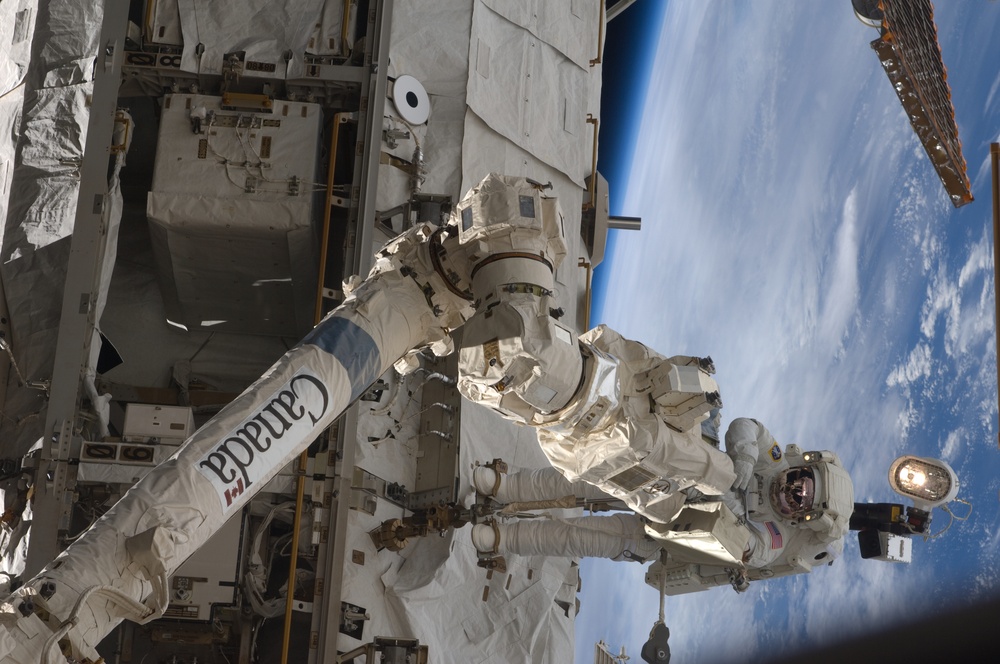 STS-119 Extravehicular Activity EVA 3 GAT SSRMS LEE B Snare Lubrication OPS