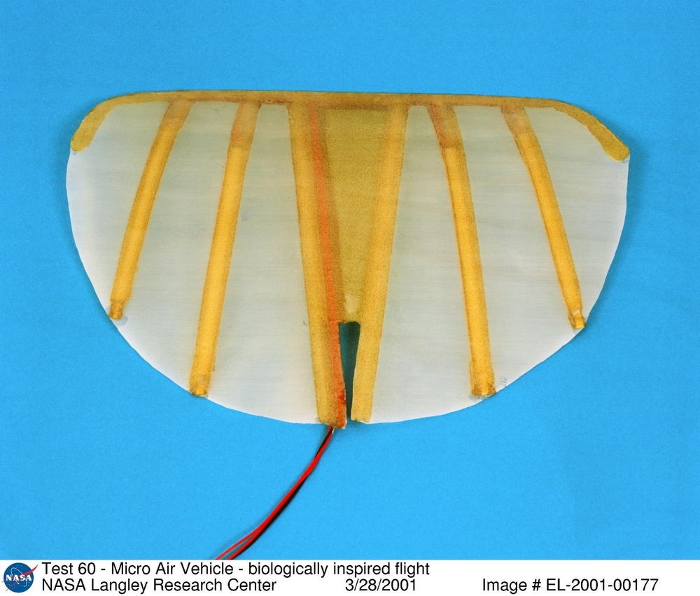 Test 60 - Micro Air Vehicle - biologically inspired flight