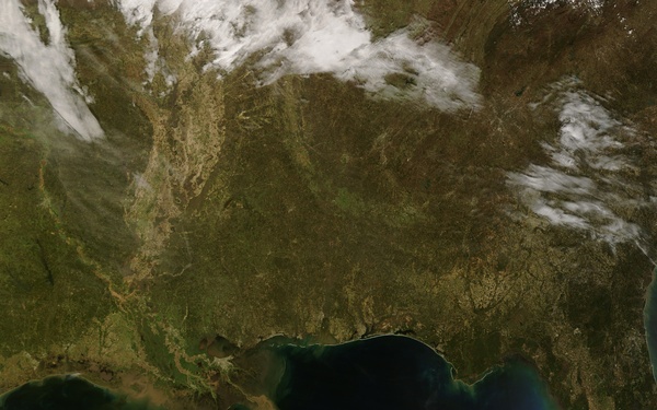 Spring Migration: Ruby-throated Hummingbirds Reach U.S.: Image of the Day