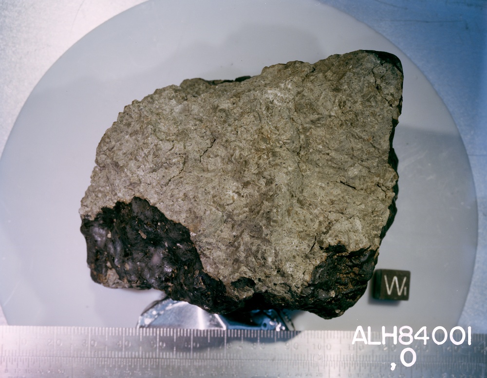 Antarctic Meteorite Samples in the Meteorite Processing Laboratory