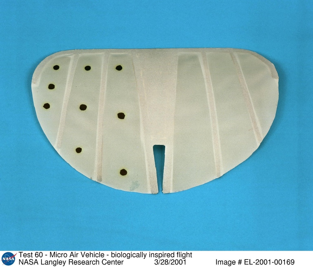 Test 60 - Micro Air Vehicle - biologically inspired flight