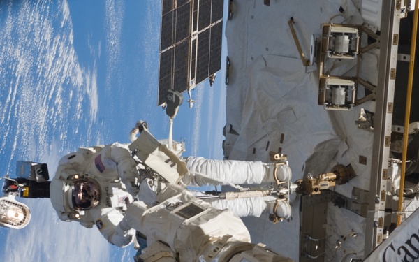 STS-119 EVA 3 GAT SSRMS LEE B Snare Lubrication OPS