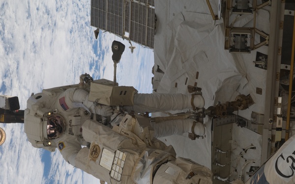 STS-119 Extravehicular Activity EVA 3 GAT SSRMS LEE B Snare Lubrication OPS