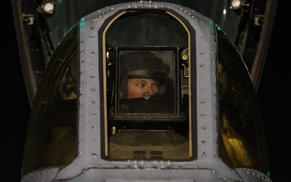 Keeping the Hogs in the fight