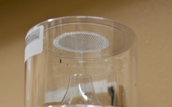 Battling West Nile, mosquitoes