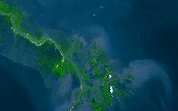 Mississippi River Delta: Image of the Day