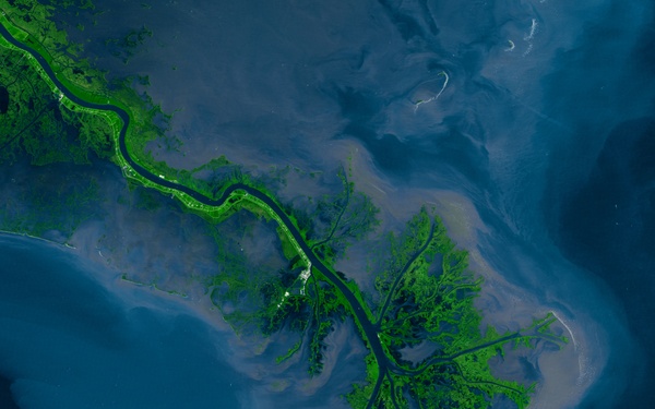 Mississippi River Delta: Image of the Day