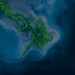 Mississippi River Delta: Image of the Day