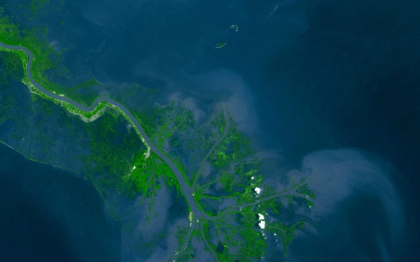 Mississippi River Delta: Image of the Day