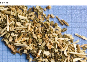 Salicomia seeds for Biofuels project