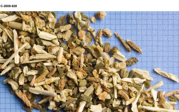 Salicomia seeds for Biofuels project