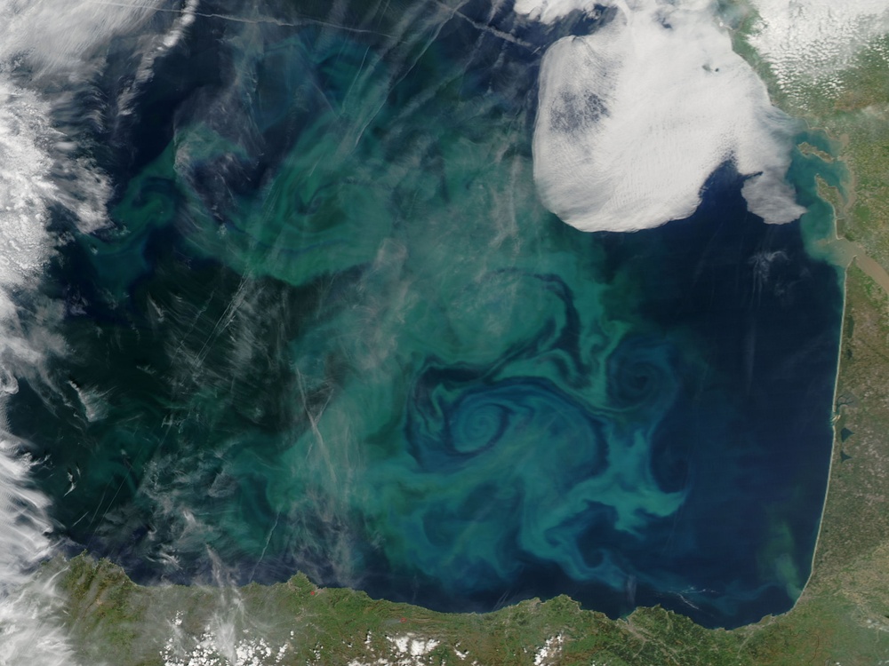 Spring Color in the Bay of Biscay: Natural Hazards