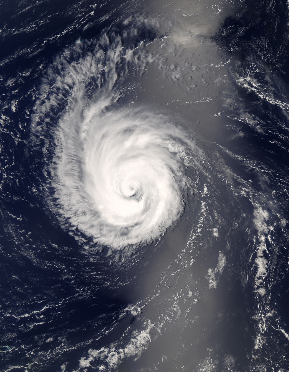 Hurricane Bertha: Natural Hazards