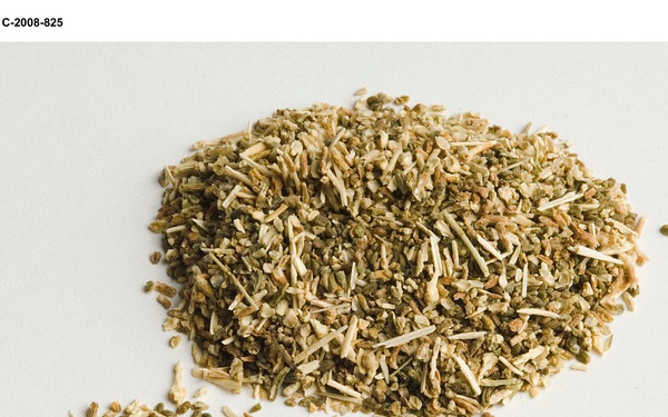 Salicomia seeds for Biofuels project