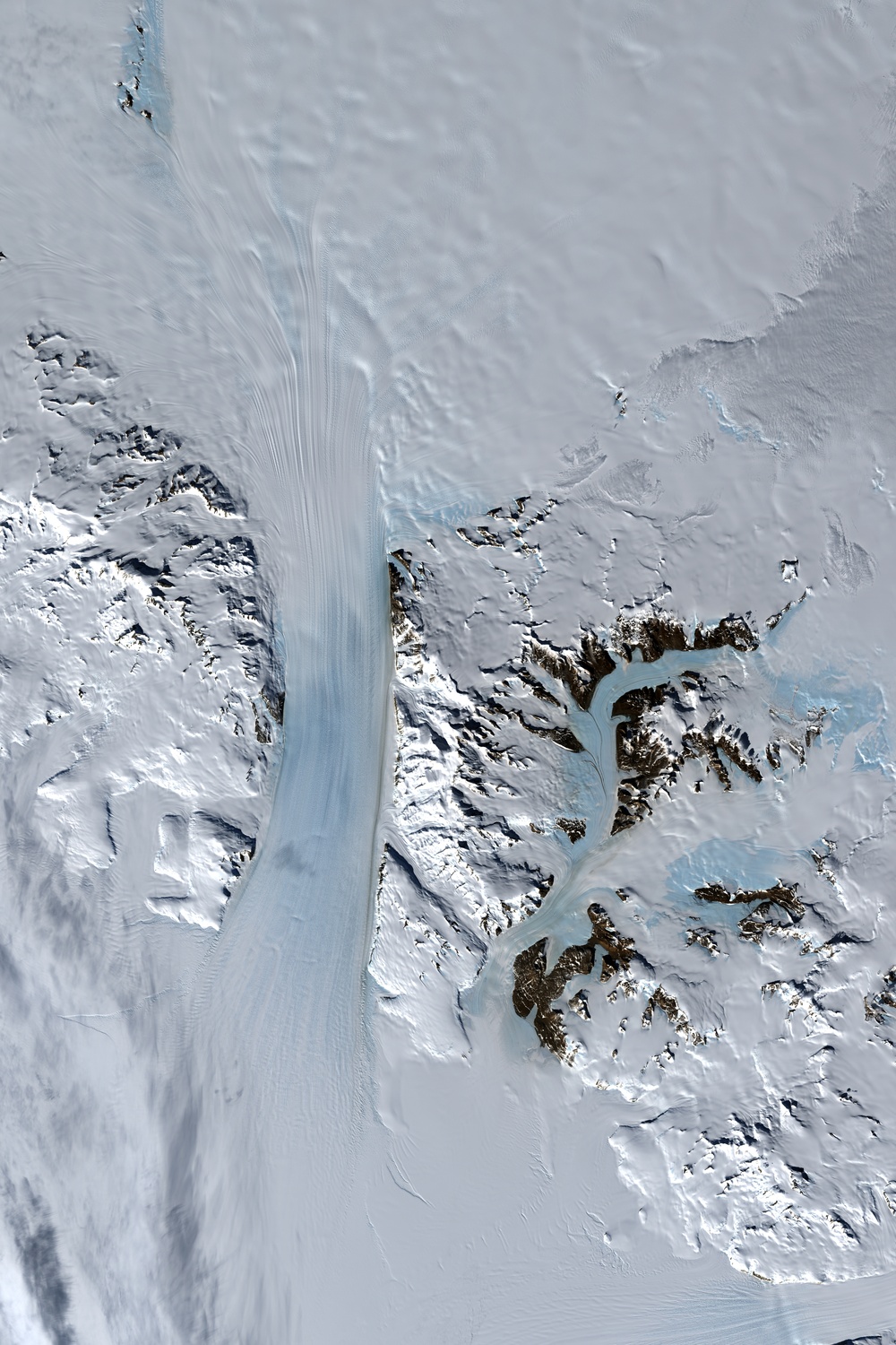 Byrd Glacier, Antarctica: Image of the Day