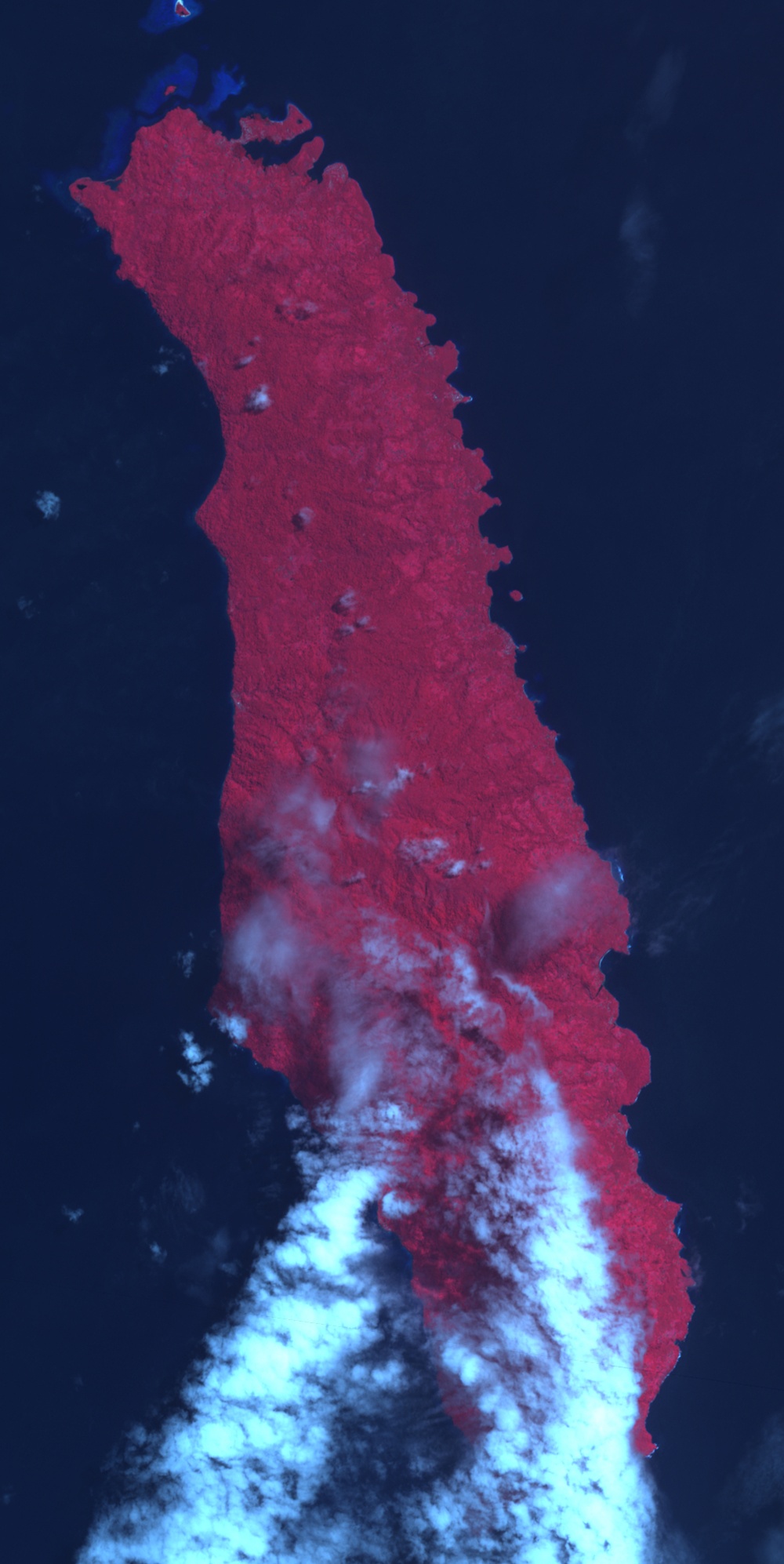 Earthquake Raises Ranongga Island: Image of the Day