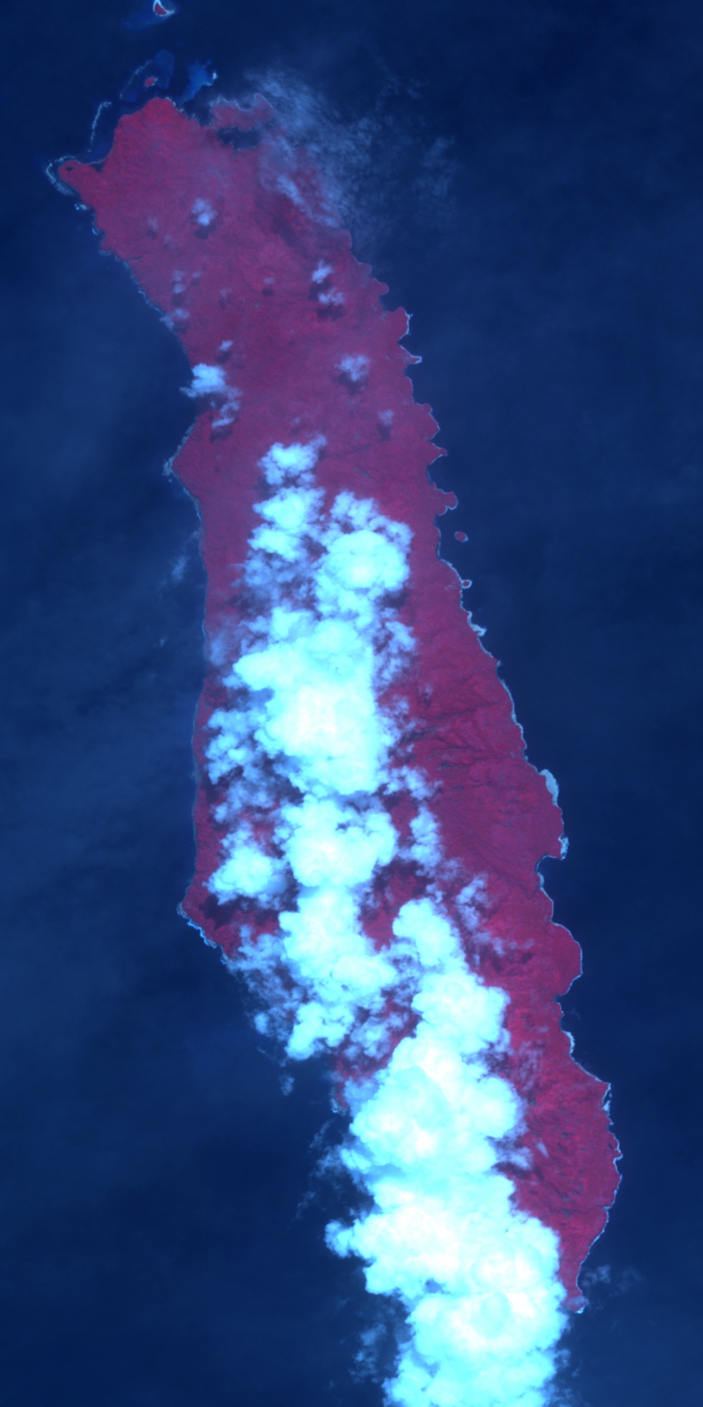 Earthquake Raises Ranongga Island: Image of the Day