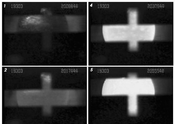 Melting a Gold Sample within TEMPUS