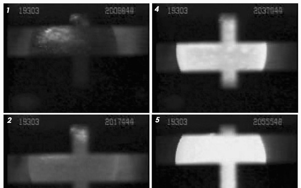 Melting a Gold Sample within TEMPUS