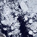 Detailed View of Arctic Sea Ice: Image of the Day