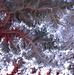 Retreat of the Gangotri Glacier: Image of the Day