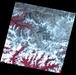 Retreat of the Gangotri Glacier: Image of the Day