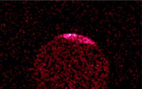 Chandra Image Reveals Auroral X-rays at Poles of Jupiter