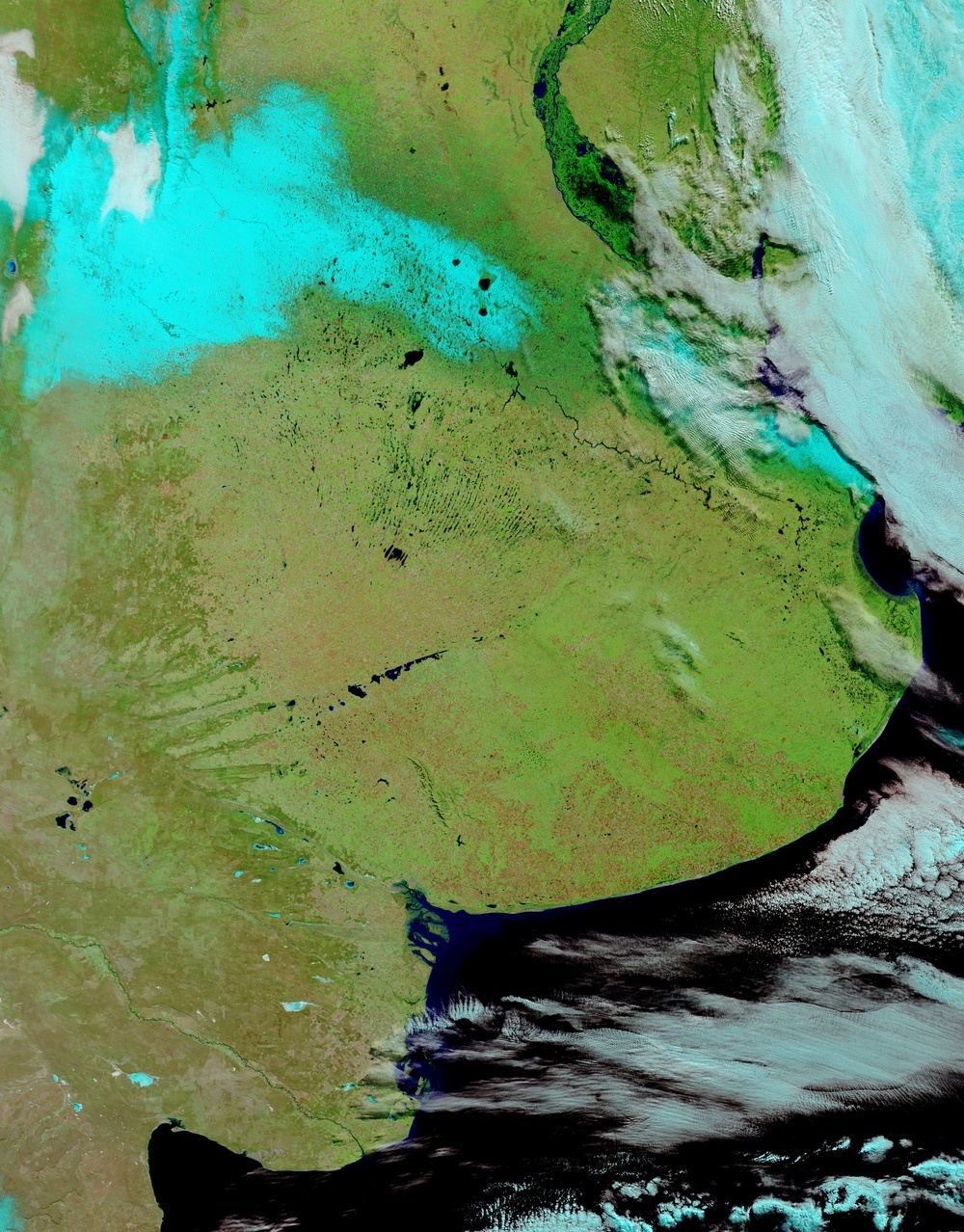 Rare Snow in Buenos Aires, Argentina: Natural Hazards