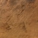 Tenoumer Crater, Mauritania: Image of the Day