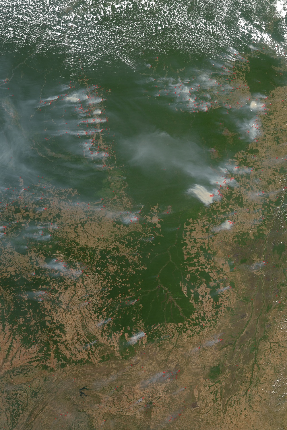Fires and Deforestation in the Amazon: Natural Hazards