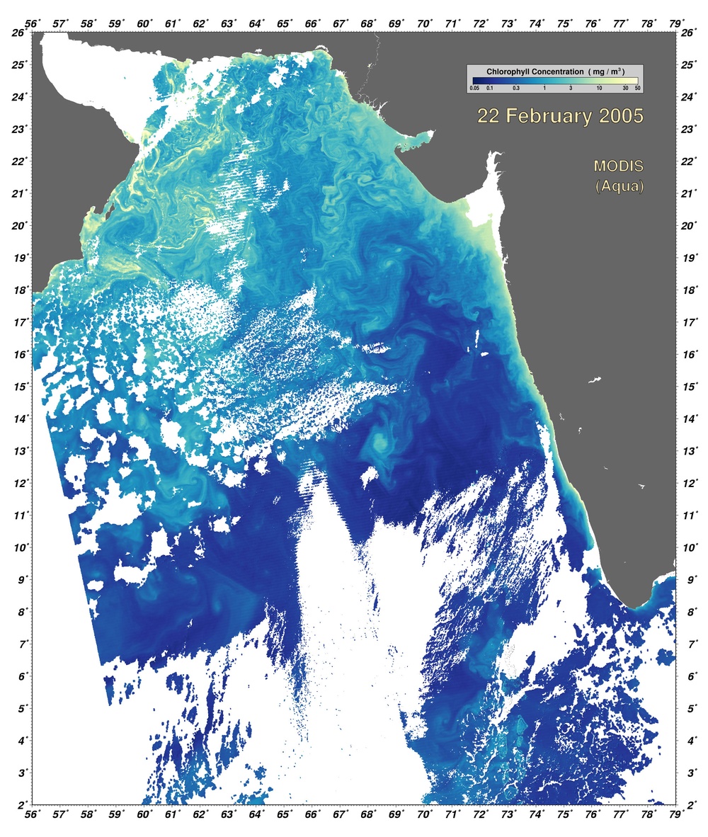Phytoplankton in the Arabian Sea: Image of the Day