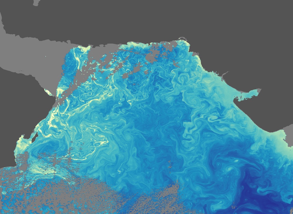 Phytoplankton in the Arabian Sea: Image of the Day