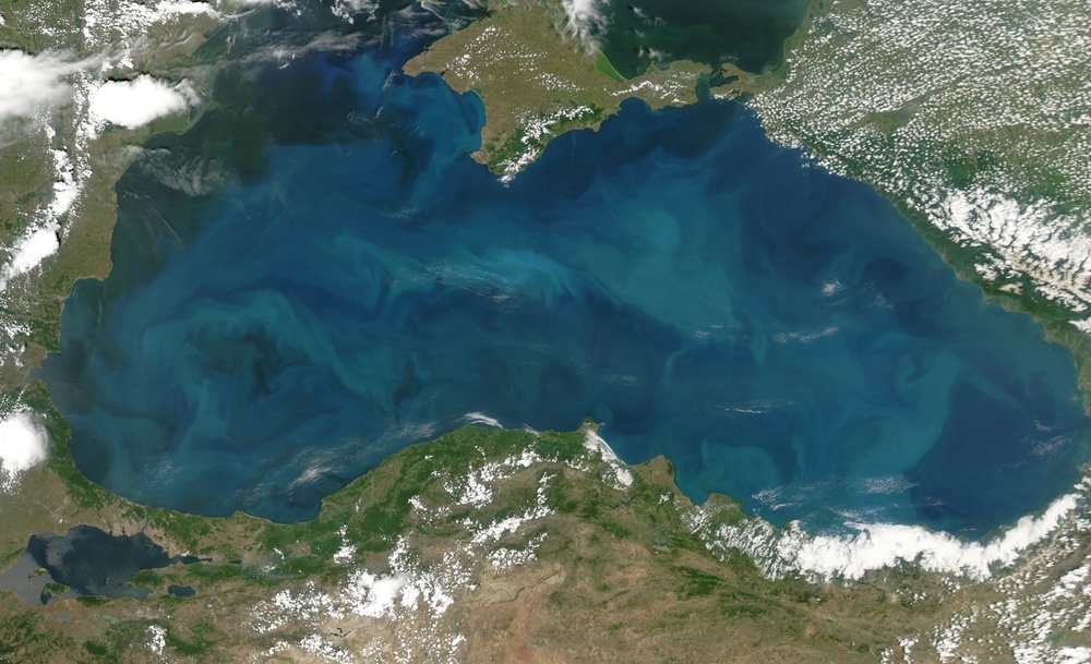 Phytoplankton Blooms in the Black Sea: Natural Hazards