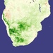 La Nina Greenup Patterns: Image of the Day