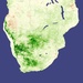 La Nina Greenup Patterns: Image of the Day