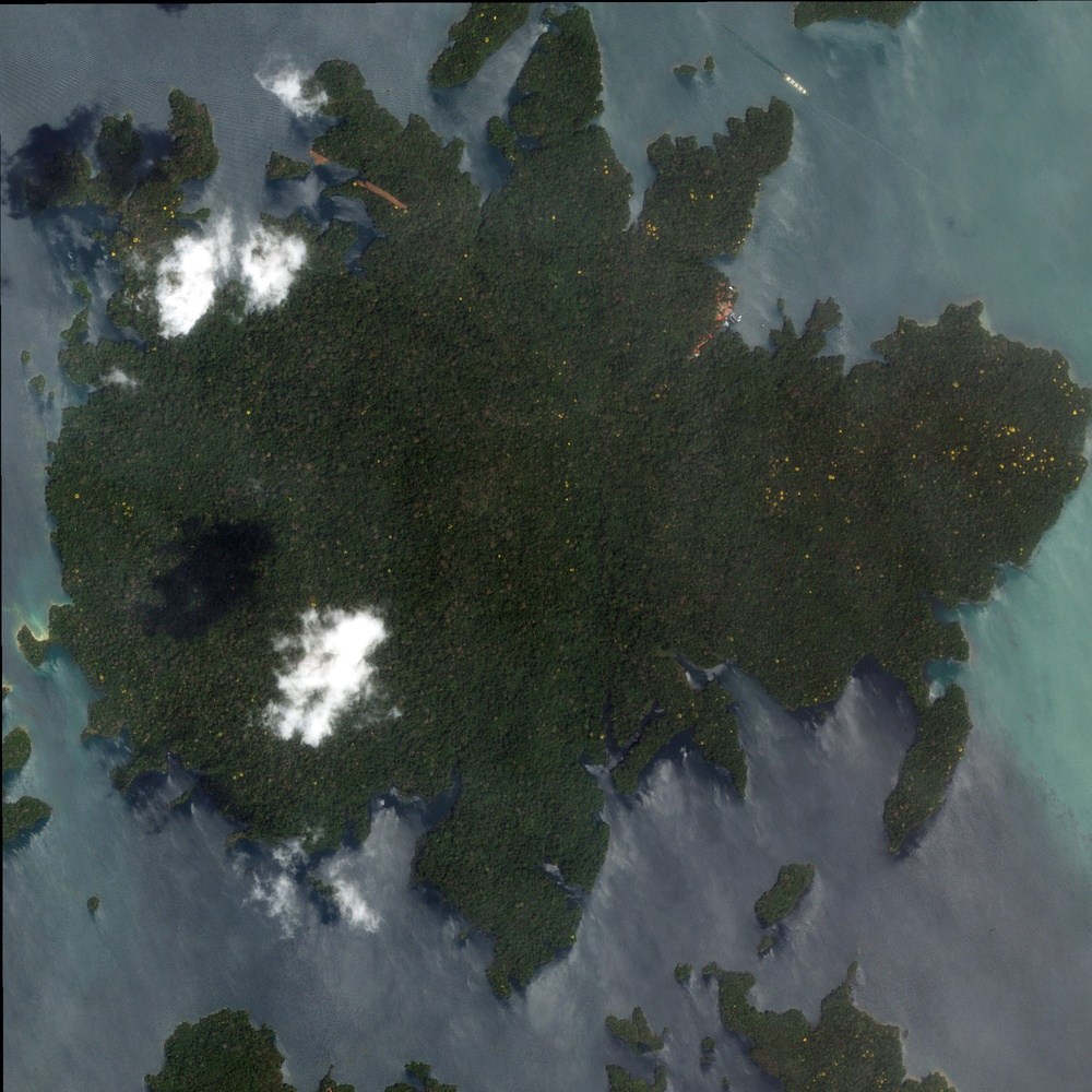 Barro Colorado Island: Image of the Day