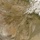 Dust over the Hamoun Wetlands: Natural Hazards