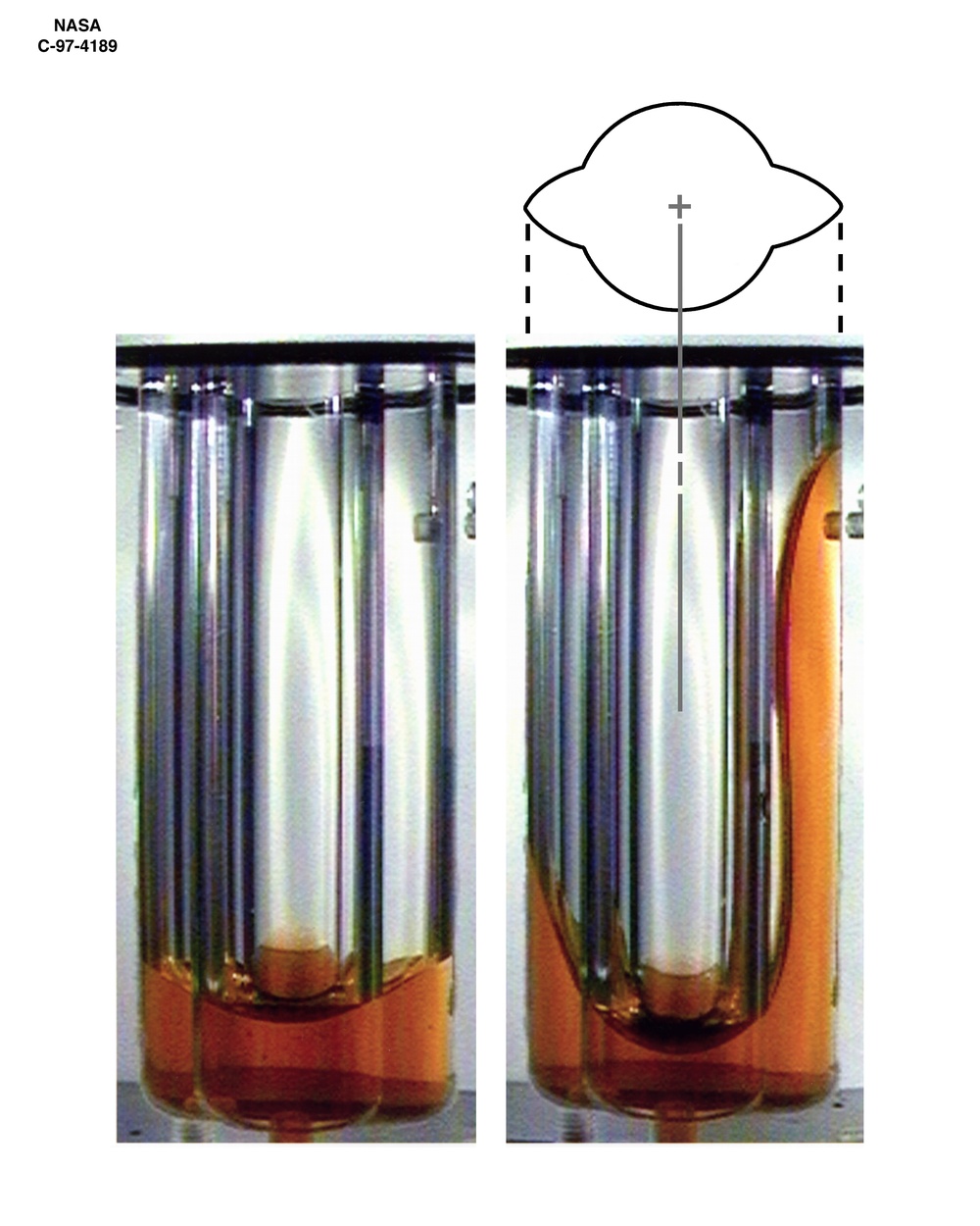 ICE PROBOSCIS 2 WITH SECTION