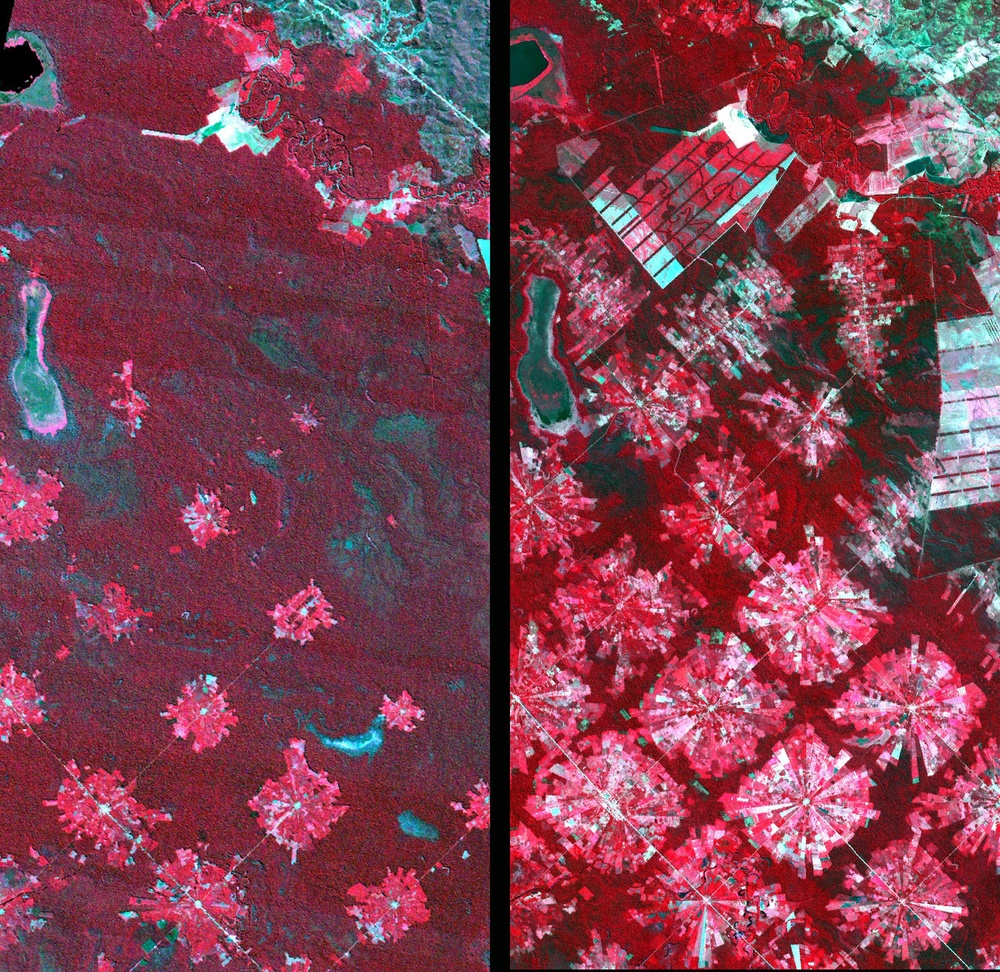 Deforestation in Santa Cruz, Bolivia: Image of the Day