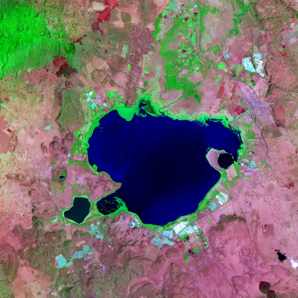 Lake Naivasha, Kenya: Image of the Day