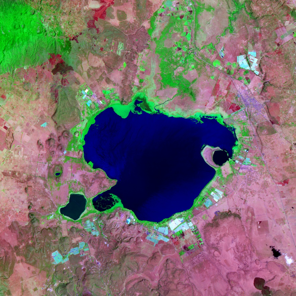 Lake Naivasha, Kenya: Image of the Day