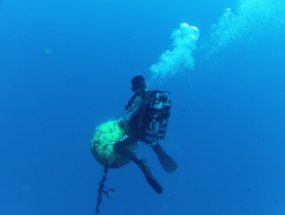 Deep Water Buoy cleaning