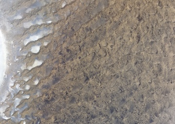 Diverse Terrain of Iran's Dasht-e Lut: Image of the Day