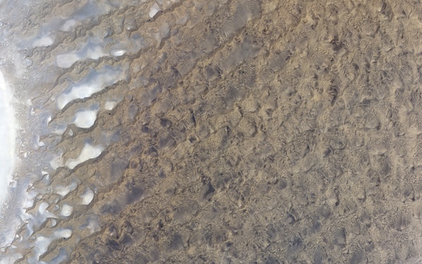 Diverse Terrain of Iran's Dasht-e Lut: Image of the Day