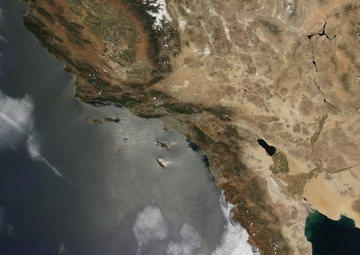 Green-up in California Burned Areas Poses Fire Risk: Image of the Day