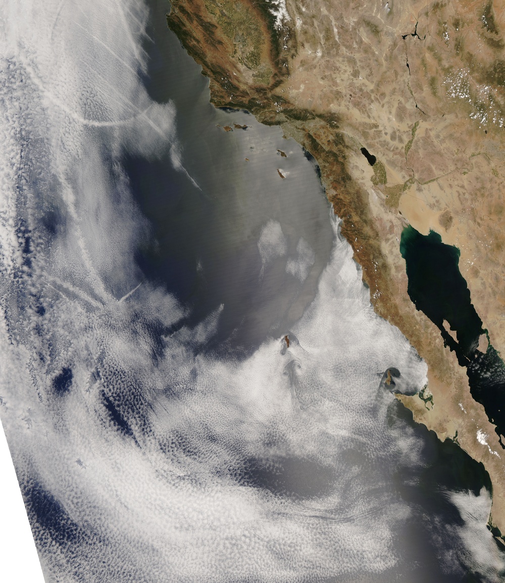 Green-up in California Burned Areas Poses Fire Risk: Image of the Day