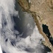 Green-up in California Burned Areas Poses Fire Risk: Image of the Day