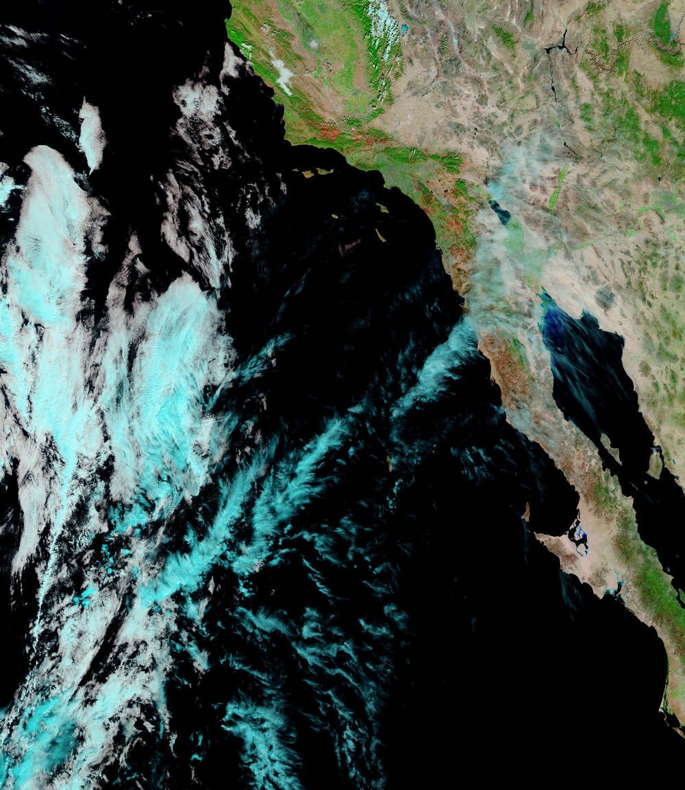 Green-up in California Burned Areas Poses Fire Risk: Image of the Day